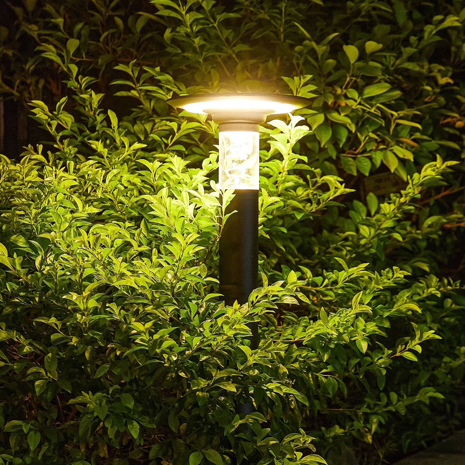 Solar Lawn Light With Dimmable LED In Black